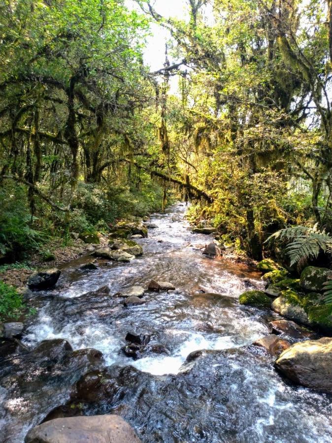 Chales Estancia Cachoeira Do Avencal Урубиси Экстерьер фото