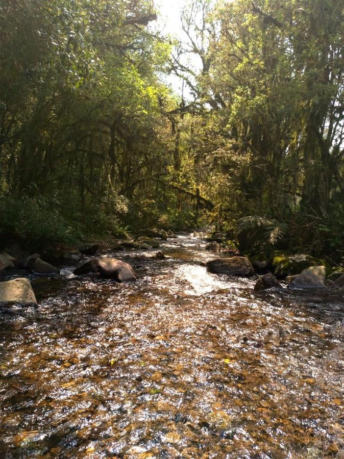 Chales Estancia Cachoeira Do Avencal Урубиси Экстерьер фото